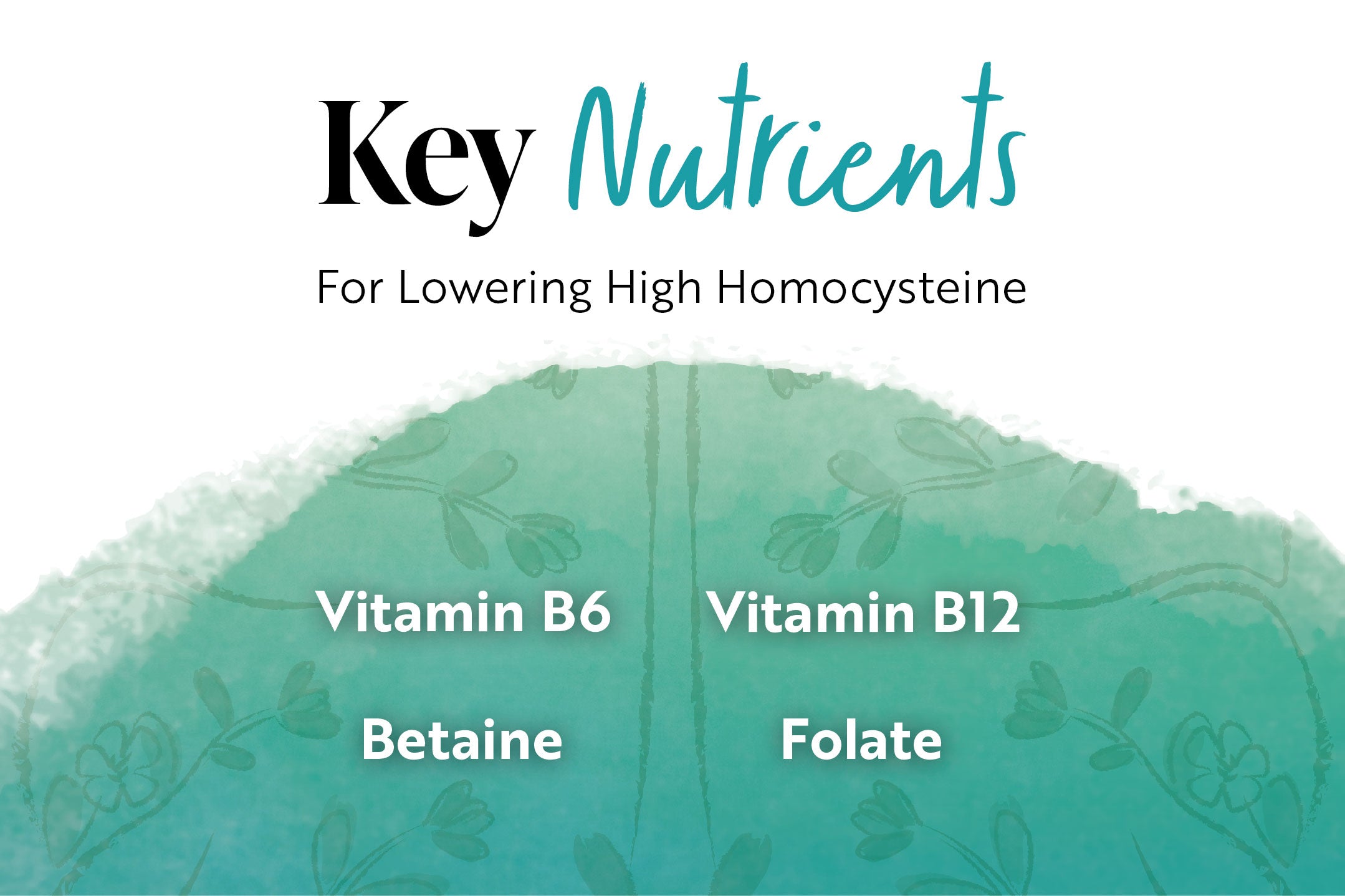 Why managing homocysteine levels can help reduce your cognitive impair Why managing homocysteine levels can help reduce your cognitive impair