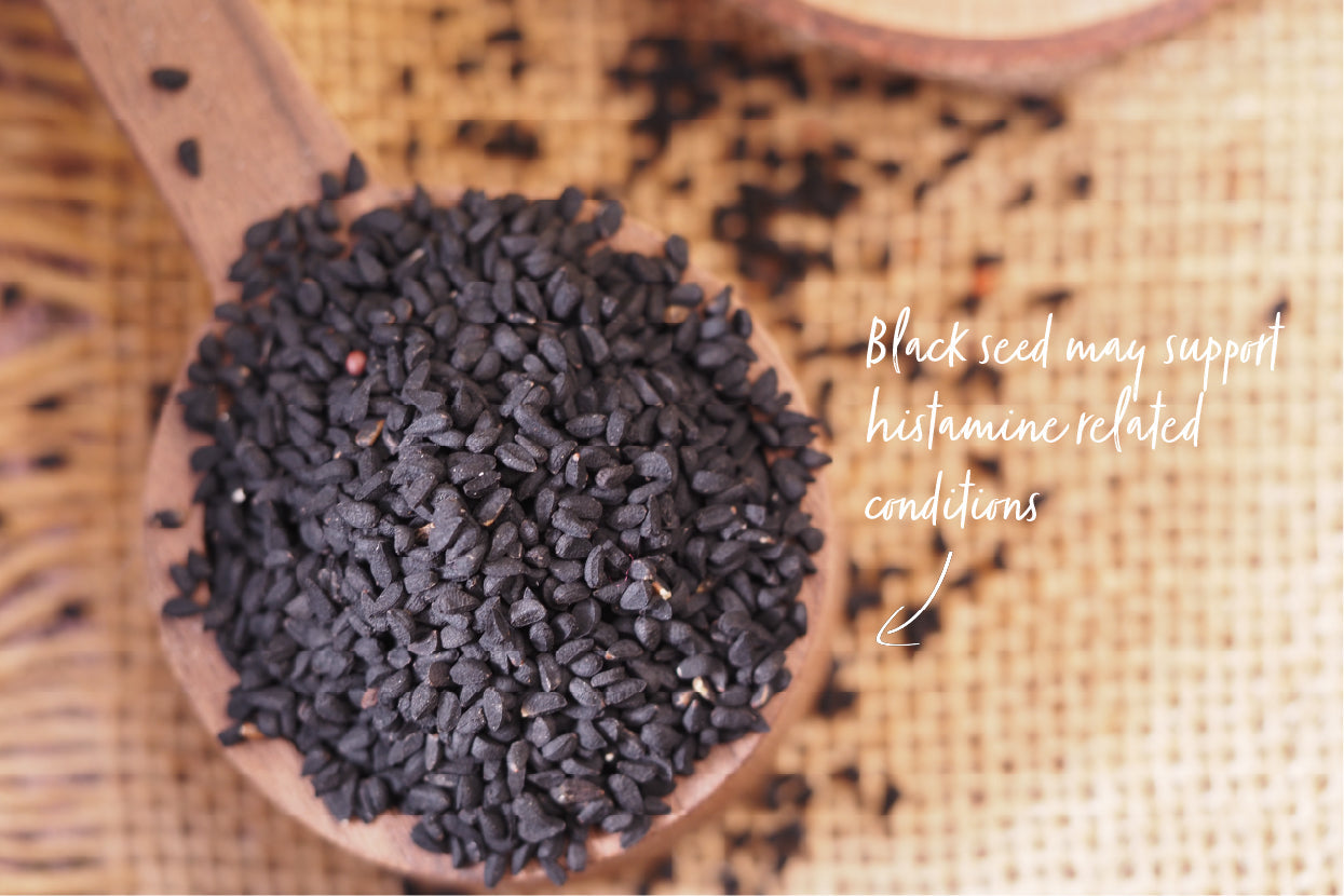 Expert Insight: Managing Histamine Intolerance and Mast Cell Activation Syndrome