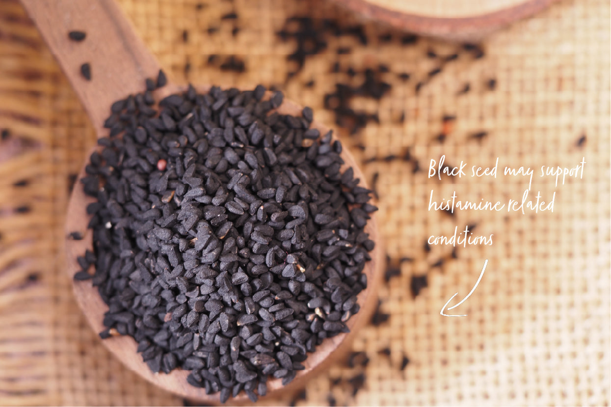 Expert Insight: Managing Histamine Intolerance and Mast Cell Activation Syndrome