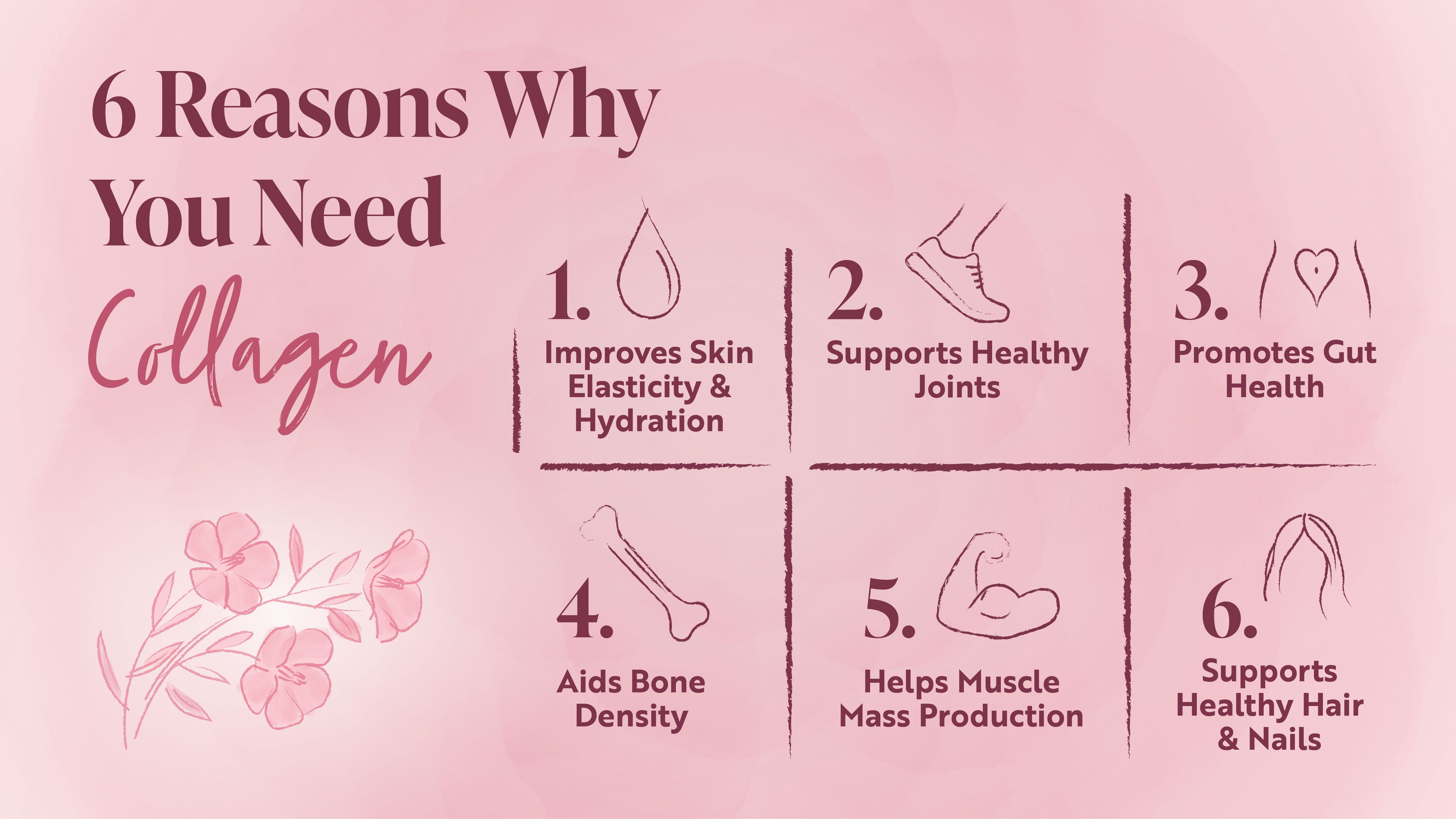 Role Collagen The Role of Collagen in the Body