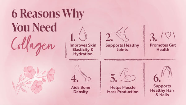 The Role of Collagen in the Body