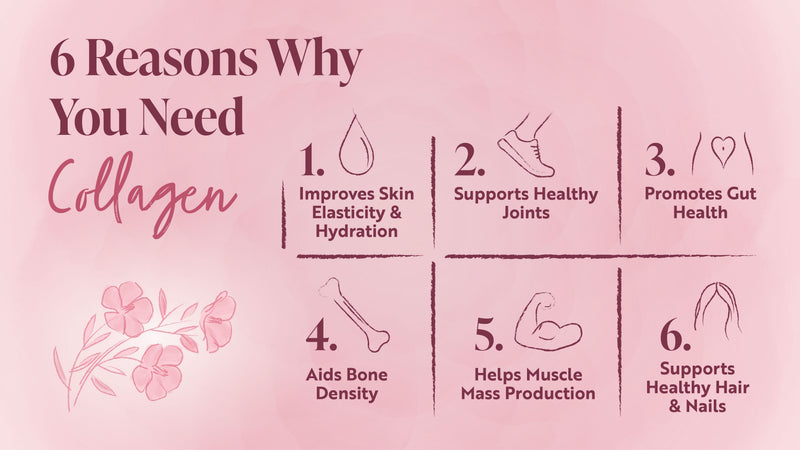 The Role of Collagen in the Body