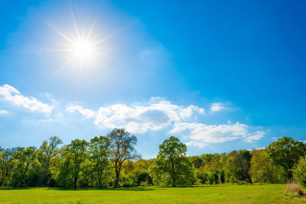 Do we really get enough vitamin D from the sun in summer?
