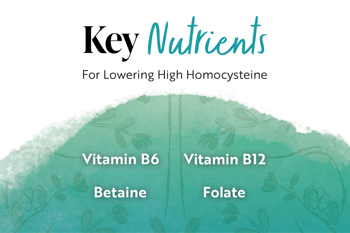 does high homocystein levels lower glutathione What are Your Homocysteine Levels? Homocysteine: Diagnostic Significance and Clinical