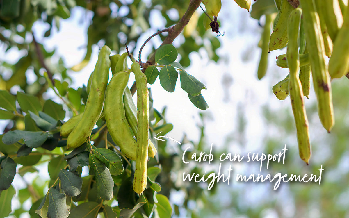 Natural ways to encourage GLP-1 release for weight management