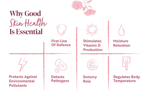 Nutrition for healthy skin: Nourishing from within