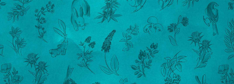 Do I Have Vitamin b12 Deficiency