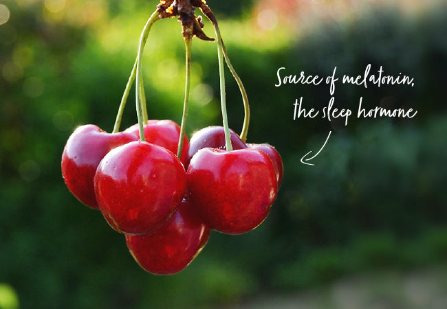 Can sour cherries help you sleep?