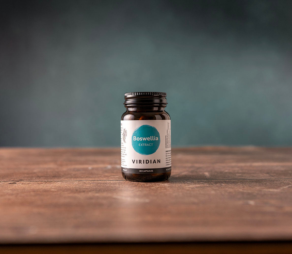 Boswellia Extract