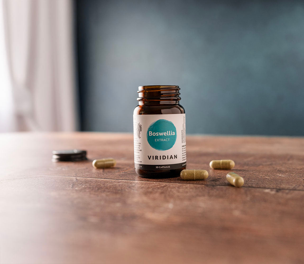 Boswellia Extract