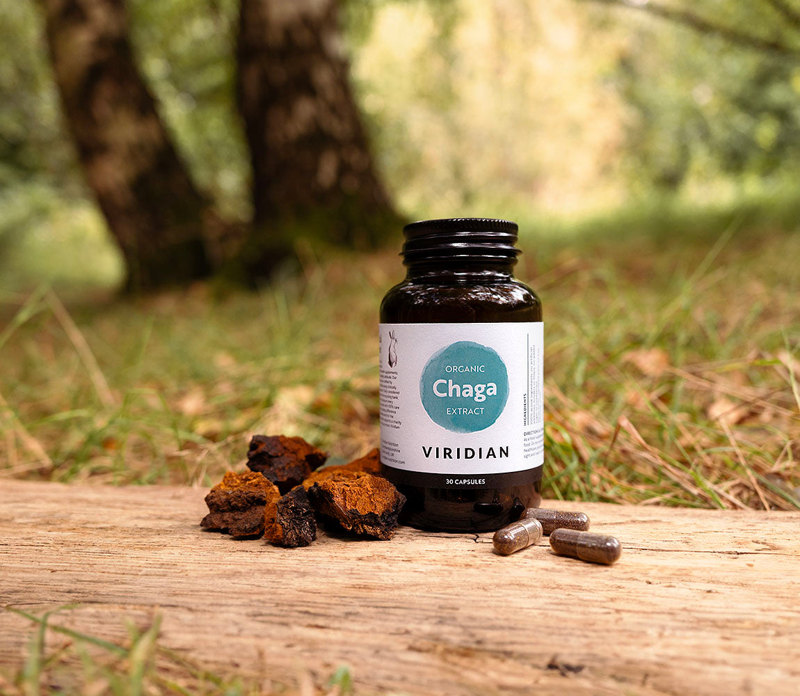 Organic Chaga Extract