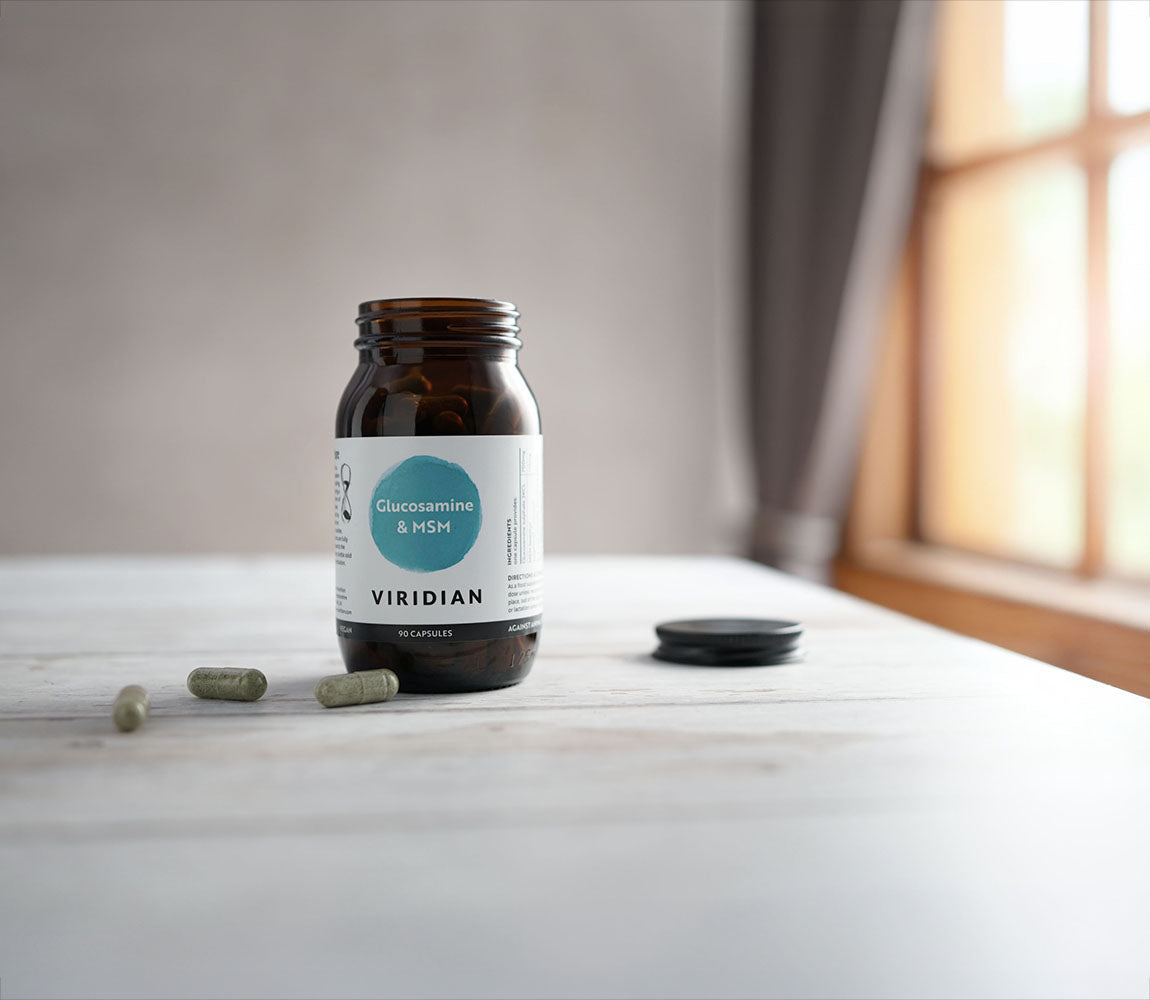 Glucosamine & MSM Complex