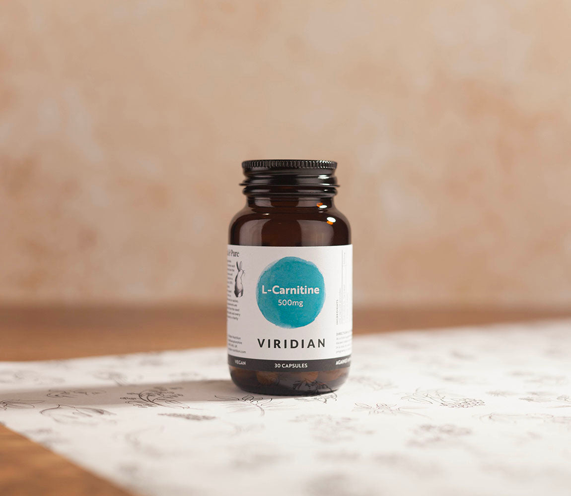L-Carnitine 500mg L-Carnitine 500mg