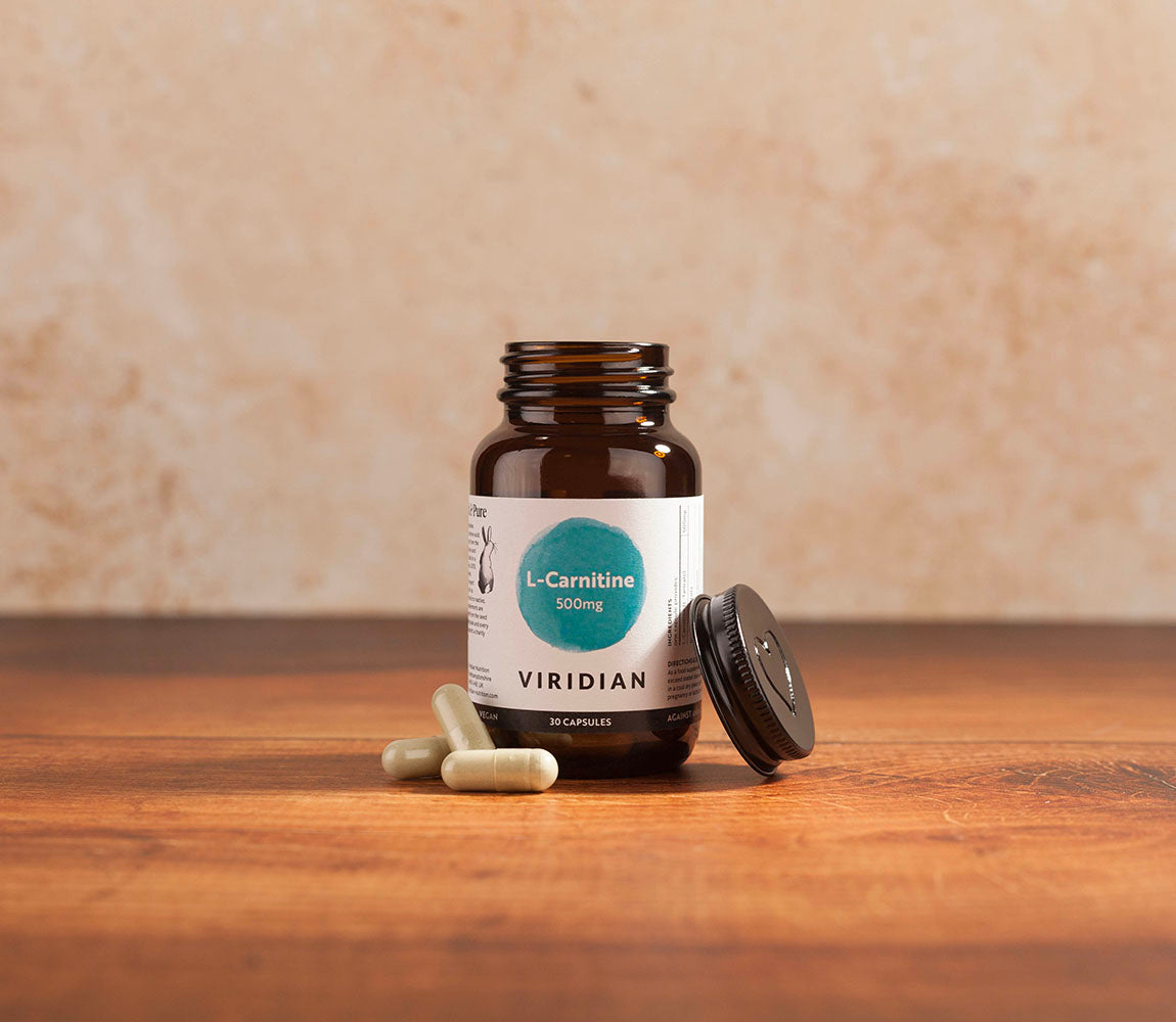 L-Carnitine 500mg L-Carnitine 500mg