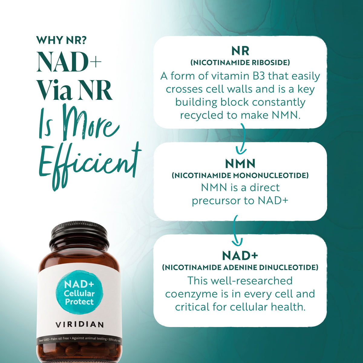 NAD+ Cellular Protect