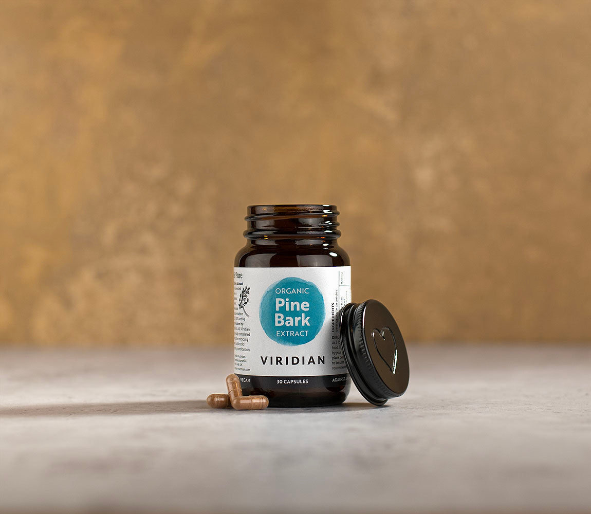 Organic Pine Bark Extract