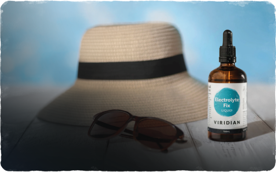 Your Travel Partner