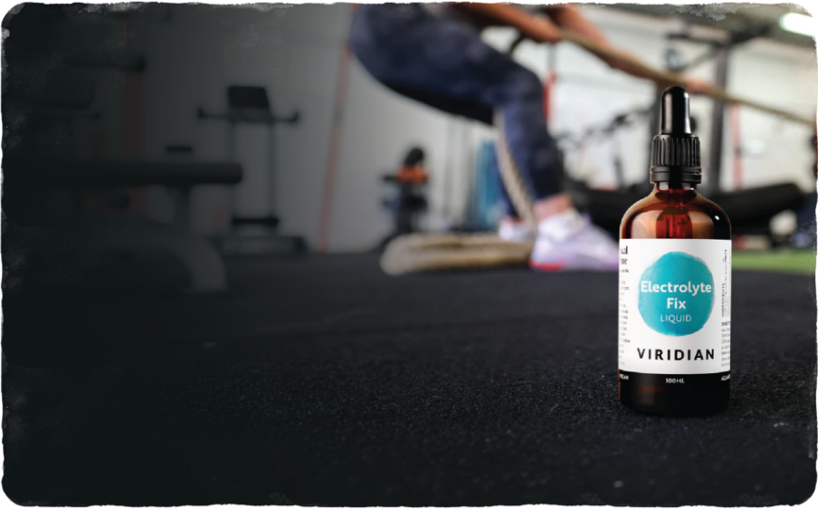 Optimise Your Workout