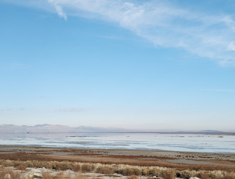 <p><strong>100% Naturally Sourced<br/></strong>From The Great Salt Lake, Utah</p>