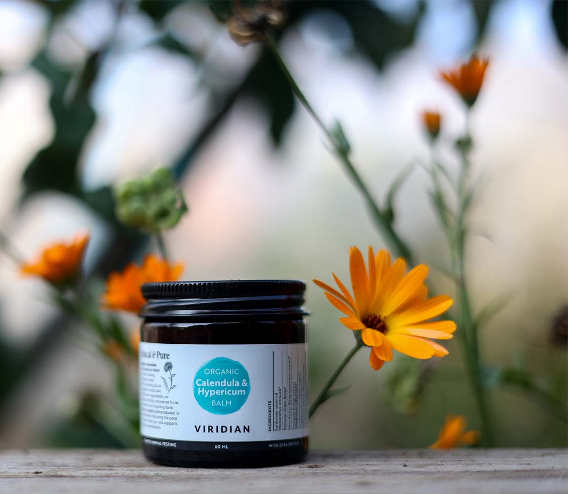 Calendula & Hypericum Organic Balm 60ml