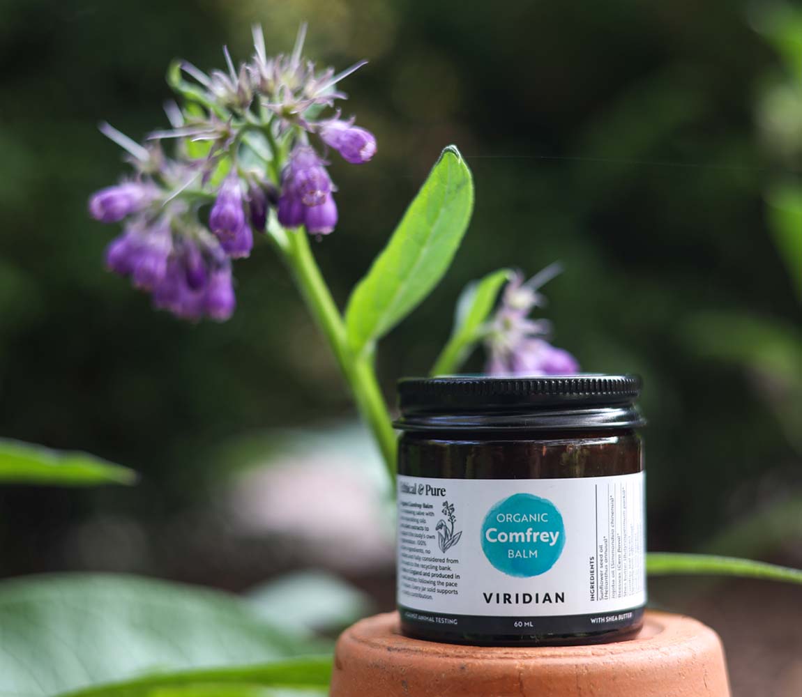 Comfrey Organic Balm